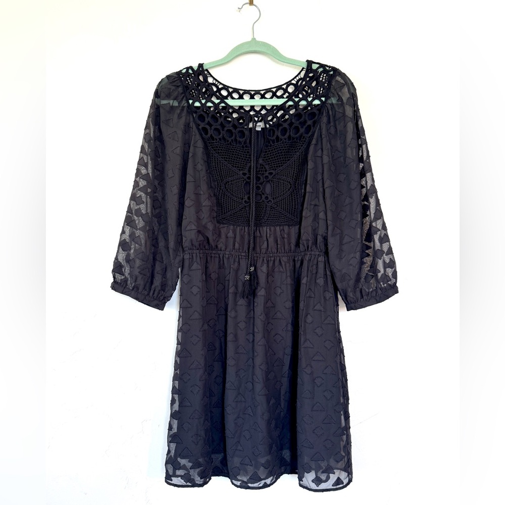 Daniel Rainn for Anthropologie Heloise Lace Mini Dress